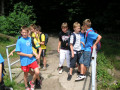 2008 Sommer